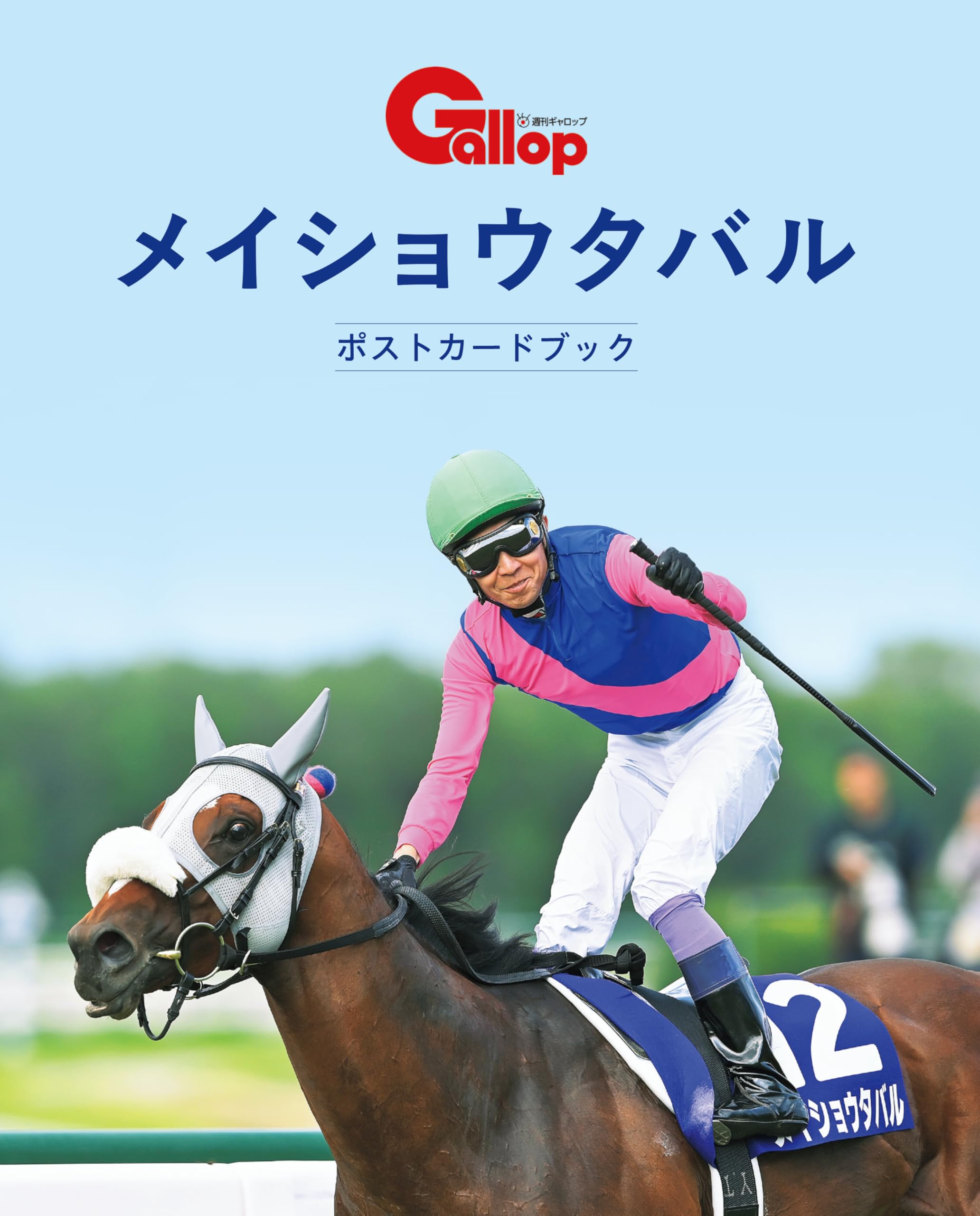 希少【メイショウタバル】メイクデビュー 単勝券 100円 2023年京都競馬 メイショウタバルくん推しです！！🐴 有馬記念応援してます🙌🙌 ウマ娘